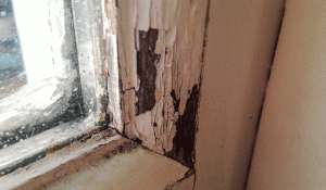 Sash window painting deteriorated